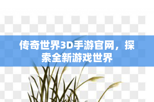 传奇世界3D手游官网，探索全新游戏世界