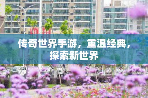 传奇世界手游，重温经典，探索新世界