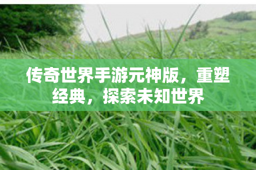 传奇世界手游元神版，重塑经典，探索未知世界
