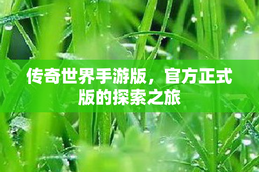 传奇世界手游版,官方正式版的探索之旅 传奇世界手游版,官方正式版的探索之旅