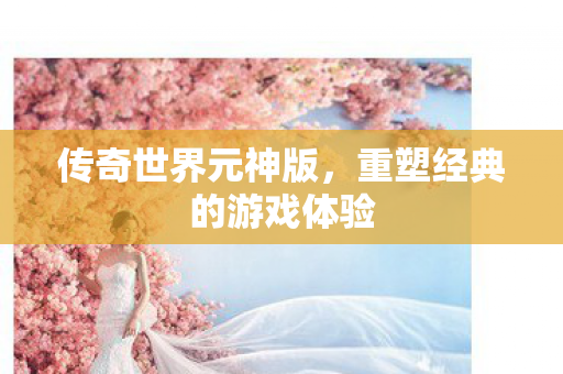 传奇世界元神版,重塑经典的游戏体验 传奇世界元神版,重塑经典的游戏体验