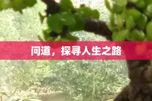 问道，探寻人生之路