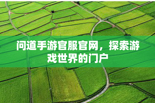 问道手游官服官网，探索游戏世界的门户