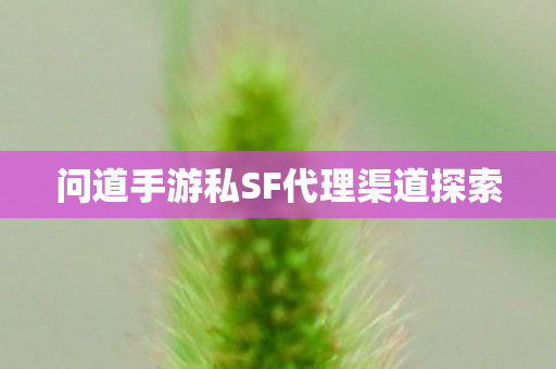 问道手游私SF代理渠道探索