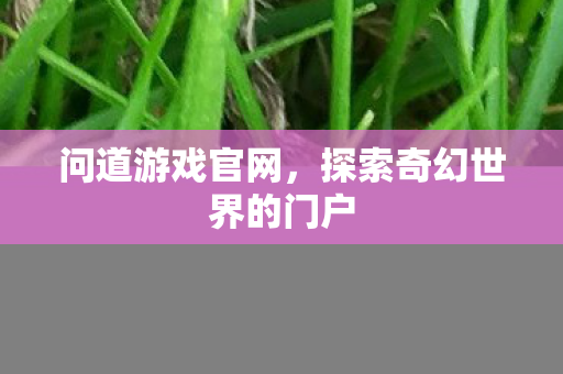 问道游戏官网，探索奇幻世界的门户