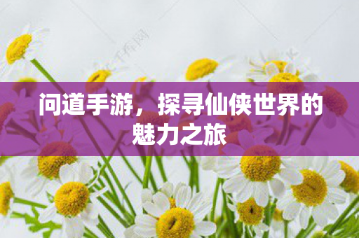 问道手游,探寻仙侠世界的魅力之旅 问道手游,探寻仙侠世界的魅力之旅