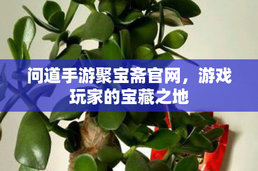 问道手游聚宝斋官网，游戏玩家的宝藏之地