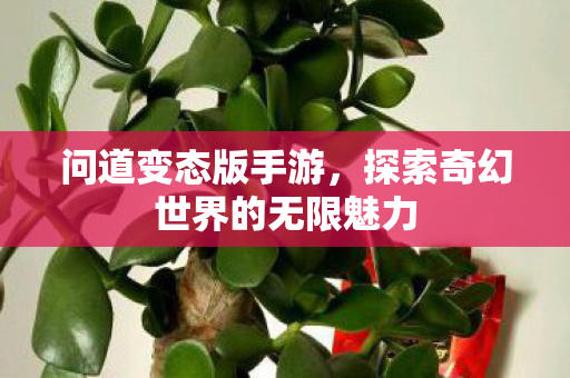 问道变态版手游，探索奇幻世界的无限魅力