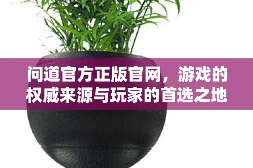 问道官方正版官网,游戏的权威来源与玩家的首选之地 问道官方正版官网,游戏的权威来源与玩家的首选之地