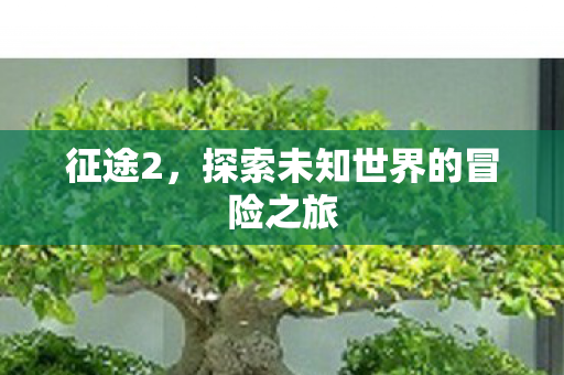 征途2，探索未知世界的冒险之旅