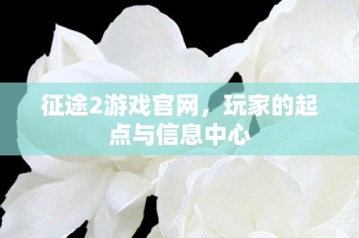 征途2游戏官网，玩家的起点与信息中心