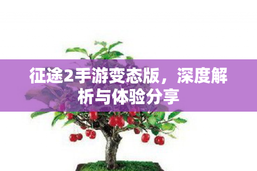 征途2手游变态版，深度解析与体验分享