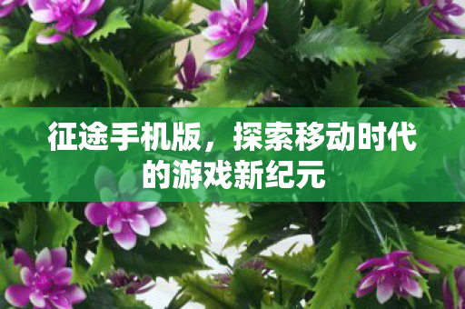 征途手机版,探索移动时代的游戏新纪元 征途手机版,探索移动时代的游戏新纪元