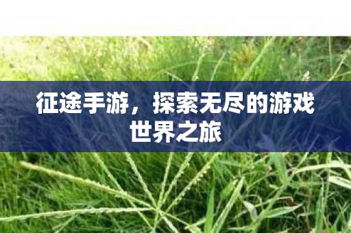 征途手游,探索无尽的游戏世界之旅 征途手游,探索无尽的游戏世界之旅