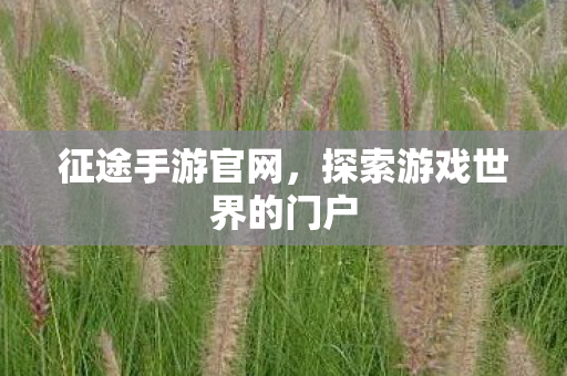 征途手游官网，探索游戏世界的门户
