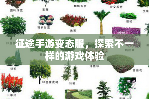 征途手游变态服，探索不一样的游戏体验