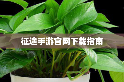 征途手游官网下载指南