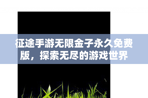 征途手游无限金子永久免费版，探索无尽的游戏世界