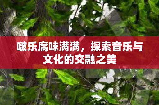 啵乐腐味满满，探索音乐与文化的交融之美
