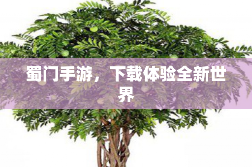 蜀门手游，下载体验全新世界