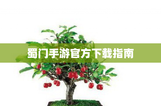 蜀门手游官方下载指南