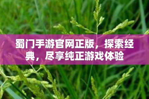 蜀门手游官网正版，探索经典，尽享纯正游戏体验