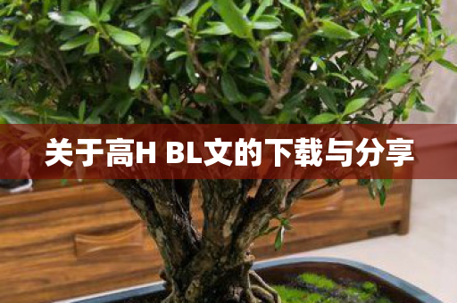 关于高H BL文的下载与分享 关于高H BL文的下载与分享