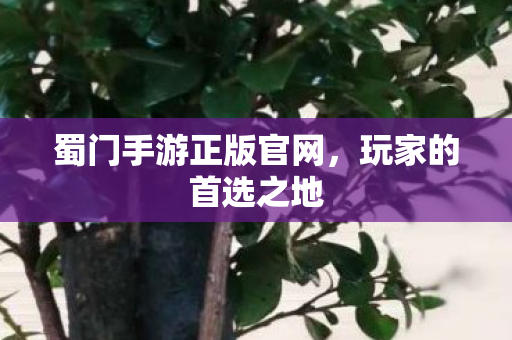 蜀门手游正版官网，玩家的首选之地