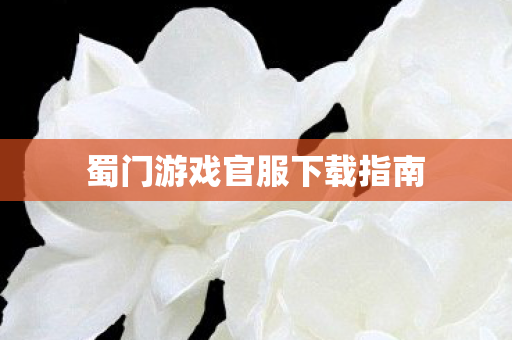 蜀门游戏官服下载指南