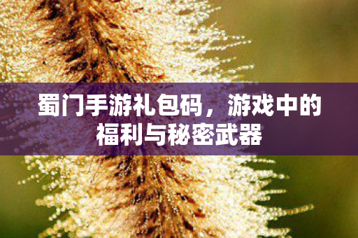 蜀门手游礼包码，游戏中的福利与秘密武器