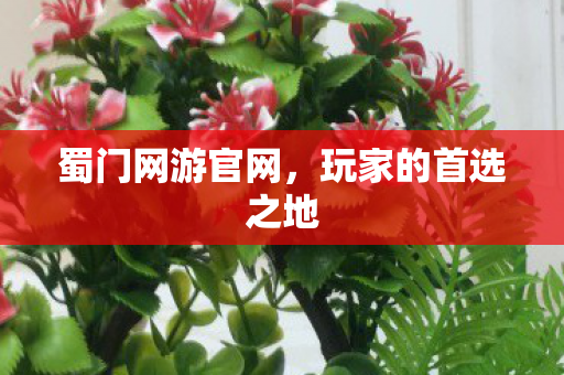 蜀门网游官网，玩家的首选之地