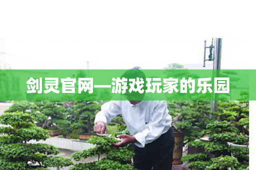 剑灵官网—游戏玩家的乐园