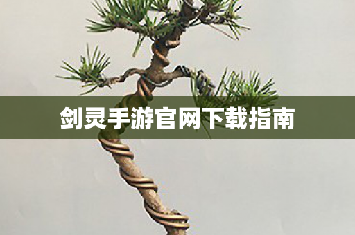 剑灵手游官网下载指南