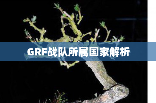 GRF战队所属国家解析