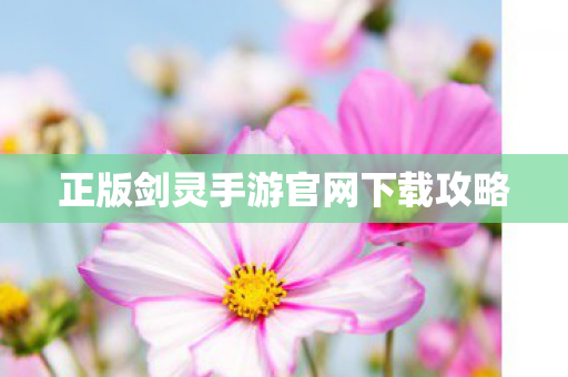 正版剑灵手游官网下载攻略