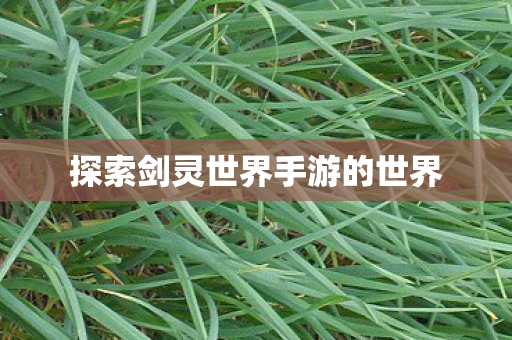 探索剑灵世界手游的世界