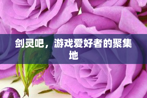 剑灵吧，游戏爱好者的聚集地