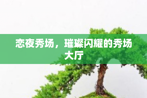 恋夜秀场，璀璨闪耀的秀场大厅