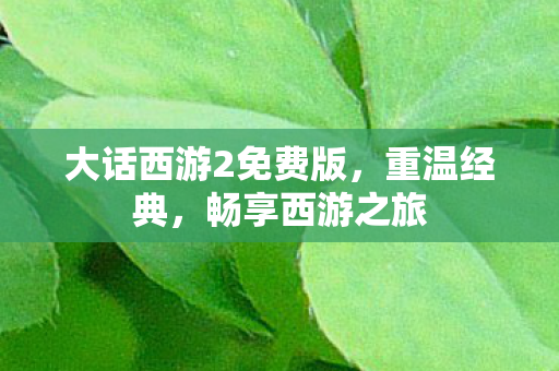 大话西游2免费版，重温经典，畅享西游之旅