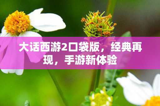 大话西游2口袋版，经典再现，手游新体验