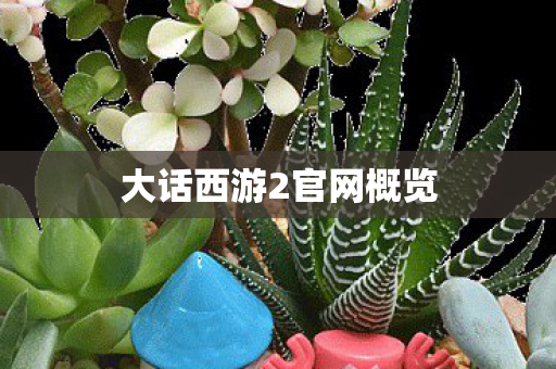 大话西游2官网概览 大话西游2官网概览