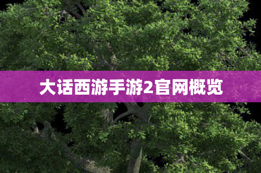 大话西游手游2官网概览 大话西游手游2官网概览