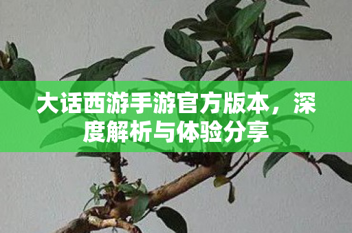 大话西游手游官方版本，深度解析与体验分享