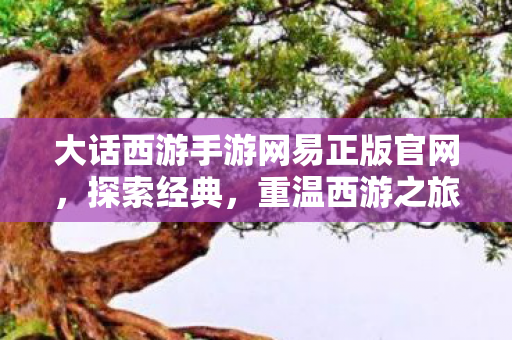 大话西游手游网易正版官网,探索经典,重温西游之旅 大话西游手游网易正版官网,探索经典,重温西游之旅