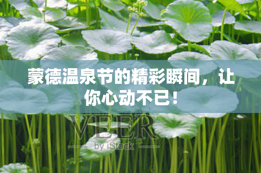 蒙德温泉节的精彩瞬间，让你心动不已！