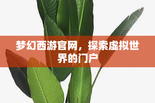 梦幻西游官网,探索虚拟世界的门户 梦幻西游官网,探索虚拟世界的门户