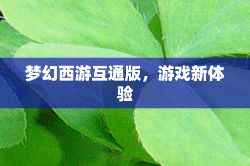 梦幻西游互通版,游戏新体验 梦幻西游互通版,游戏新体验