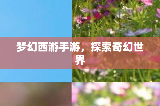 梦幻西游手游，探索奇幻世界