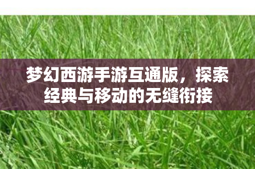 梦幻西游手游互通版，探索经典与移动的无缝衔接