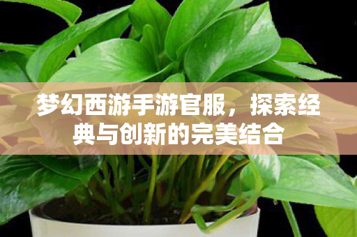 梦幻西游手游官服，探索经典与创新的完美结合